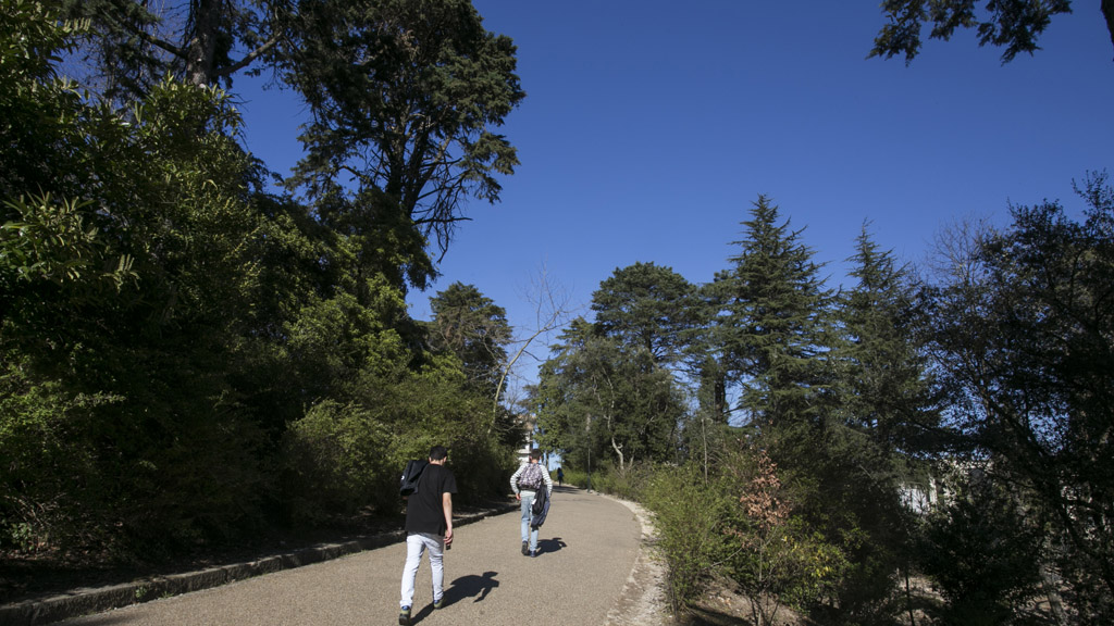 Jardim do Sameiro – Penafiel