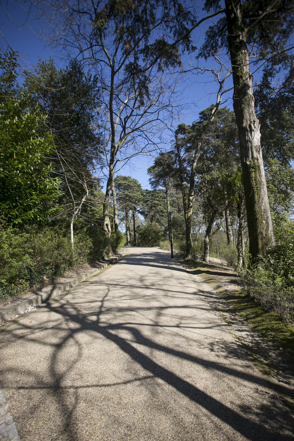 Jardim do Sameiro – Penafiel